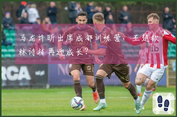 马龙许昕出席成都训练营，王楚钦林诗栋再迎成长？