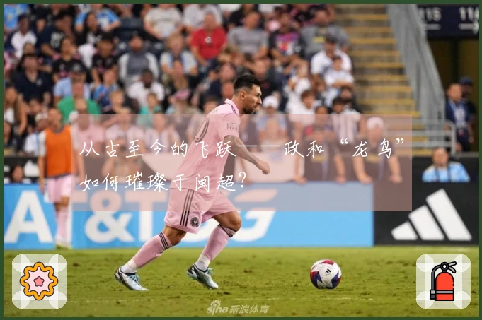 从古至今的飞跃——政和“龙鸟”如何璀璨于闽超？